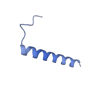 22448_7jrp_K_v1-1
Plant Mitochondrial complex SC III2+IV from Vigna radiata