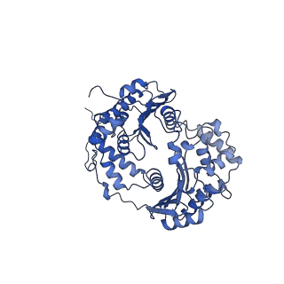 22448_7jrp_M_v1-1
Plant Mitochondrial complex SC III2+IV from Vigna radiata