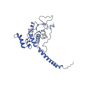 22448_7jrp_P_v1-1
Plant Mitochondrial complex SC III2+IV from Vigna radiata