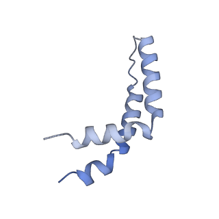 22448_7jrp_T_v1-1
Plant Mitochondrial complex SC III2+IV from Vigna radiata