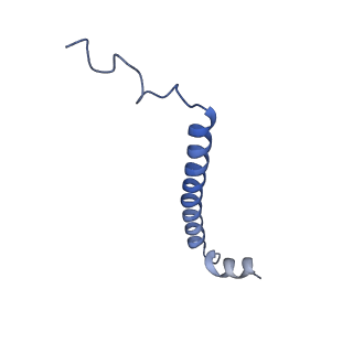 22448_7jrp_V_v1-1
Plant Mitochondrial complex SC III2+IV from Vigna radiata