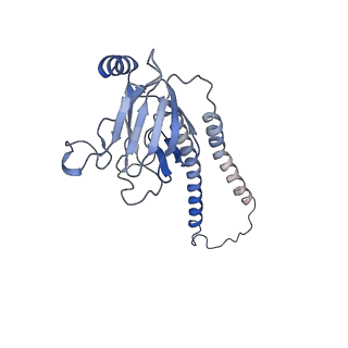 22448_7jrp_b_v1-1
Plant Mitochondrial complex SC III2+IV from Vigna radiata