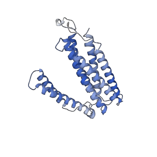 22448_7jrp_c_v1-1
Plant Mitochondrial complex SC III2+IV from Vigna radiata