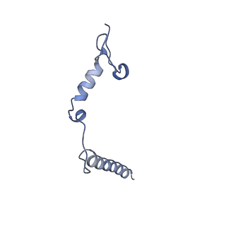 22448_7jrp_d_v1-1
Plant Mitochondrial complex SC III2+IV from Vigna radiata