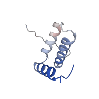 22448_7jrp_g_v1-1
Plant Mitochondrial complex SC III2+IV from Vigna radiata