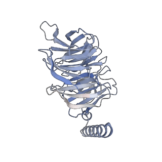 36593_8jr9_B_v1-3
Small molecule agonist (PCO371) bound to human parathyroid hormone receptor type 1 (PTH1R)