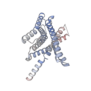 36593_8jr9_R_v1-3
Small molecule agonist (PCO371) bound to human parathyroid hormone receptor type 1 (PTH1R)