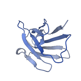 36606_8jru_B_v1-3
Cryo-EM structure of the glucagon receptor bound to beta-arrestin 1 in ligand-free state