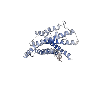 36606_8jru_R_v1-3
Cryo-EM structure of the glucagon receptor bound to beta-arrestin 1 in ligand-free state