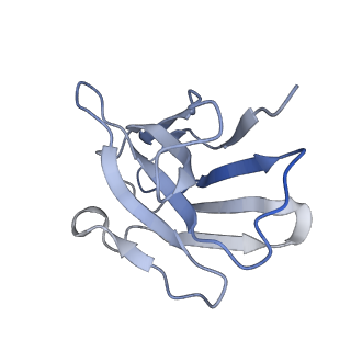 36607_8jrv_B_v1-3
Cryo-EM structure of the glucagon receptor bound to glucagon and beta-arrestin 1