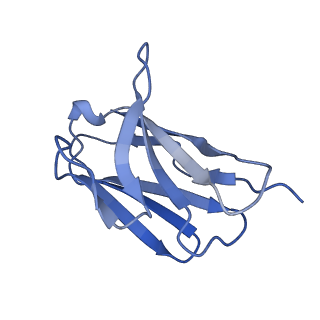 36607_8jrv_L_v1-3
Cryo-EM structure of the glucagon receptor bound to glucagon and beta-arrestin 1