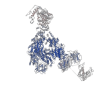 9879_6jrr_A_v1-3
Structure of RyR2 (*F/A/C/L-Ca2+ dataset)