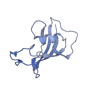 9879_6jrr_B_v1-3
Structure of RyR2 (*F/A/C/L-Ca2+ dataset)