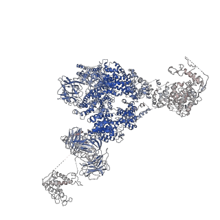 9879_6jrr_C_v1-3
Structure of RyR2 (*F/A/C/L-Ca2+ dataset)