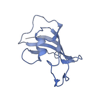 9879_6jrr_H_v1-3
Structure of RyR2 (*F/A/C/L-Ca2+ dataset)