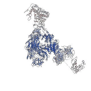 9880_6jrs_A_v1-3
Structure of RyR2 (*F/A/C/L-Ca2+/Ca2+-CaM dataset)