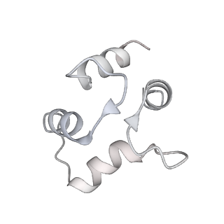 9880_6jrs_C_v1-3
Structure of RyR2 (*F/A/C/L-Ca2+/Ca2+-CaM dataset)