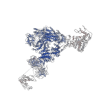 9880_6jrs_D_v1-3
Structure of RyR2 (*F/A/C/L-Ca2+/Ca2+-CaM dataset)