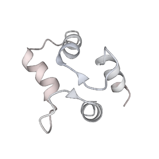 9880_6jrs_F_v1-3
Structure of RyR2 (*F/A/C/L-Ca2+/Ca2+-CaM dataset)