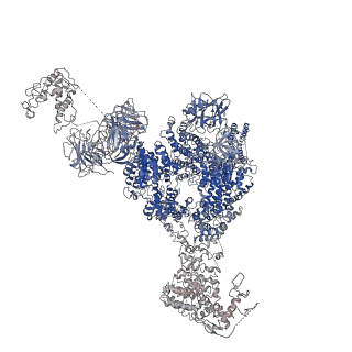 9880_6jrs_G_v1-3
Structure of RyR2 (*F/A/C/L-Ca2+/Ca2+-CaM dataset)