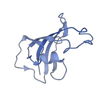 9880_6jrs_H_v1-3
Structure of RyR2 (*F/A/C/L-Ca2+/Ca2+-CaM dataset)