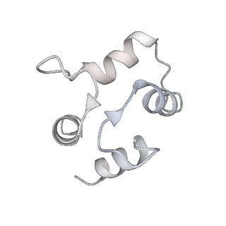 9880_6jrs_I_v1-3
Structure of RyR2 (*F/A/C/L-Ca2+/Ca2+-CaM dataset)