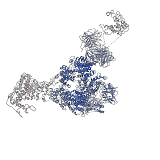 9880_6jrs_J_v1-3
Structure of RyR2 (*F/A/C/L-Ca2+/Ca2+-CaM dataset)