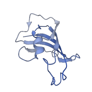 9880_6jrs_K_v1-3
Structure of RyR2 (*F/A/C/L-Ca2+/Ca2+-CaM dataset)