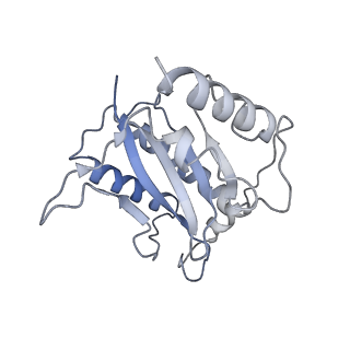 22451_7jse_A_v1-1
Adeno-Associated Virus Origin Binding Domain in complex with ssDNA