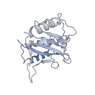 22451_7jse_B_v1-1
Adeno-Associated Virus Origin Binding Domain in complex with ssDNA