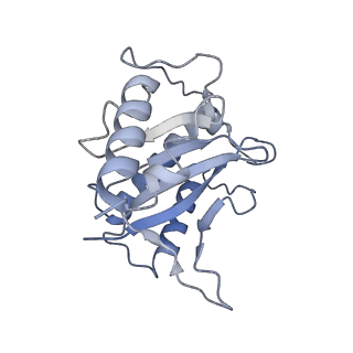 22451_7jse_C_v1-1
Adeno-Associated Virus Origin Binding Domain in complex with ssDNA