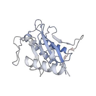 22451_7jse_E_v1-1
Adeno-Associated Virus Origin Binding Domain in complex with ssDNA