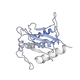 22451_7jse_F_v1-1
Adeno-Associated Virus Origin Binding Domain in complex with ssDNA