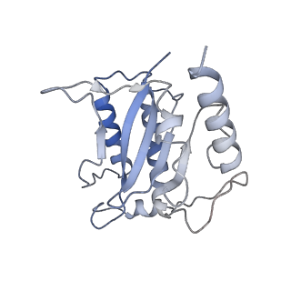 22451_7jse_H_v1-1
Adeno-Associated Virus Origin Binding Domain in complex with ssDNA