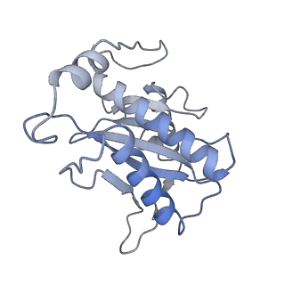 22451_7jse_I_v1-1
Adeno-Associated Virus Origin Binding Domain in complex with ssDNA