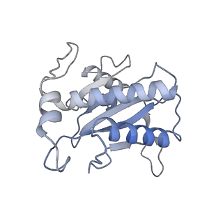22451_7jse_J_v1-1
Adeno-Associated Virus Origin Binding Domain in complex with ssDNA