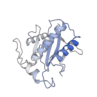 22451_7jse_K_v1-1
Adeno-Associated Virus Origin Binding Domain in complex with ssDNA