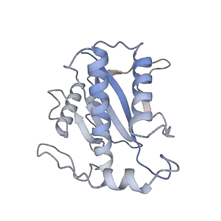 22451_7jse_L_v1-1
Adeno-Associated Virus Origin Binding Domain in complex with ssDNA