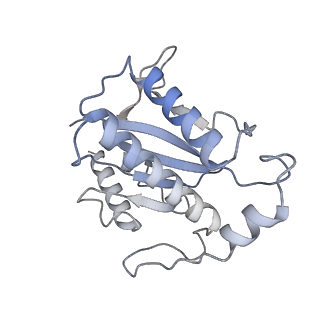 22451_7jse_M_v1-1
Adeno-Associated Virus Origin Binding Domain in complex with ssDNA