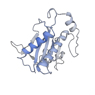 22451_7jse_O_v1-1
Adeno-Associated Virus Origin Binding Domain in complex with ssDNA