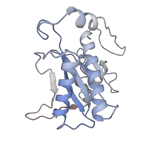 22451_7jse_P_v1-1
Adeno-Associated Virus Origin Binding Domain in complex with ssDNA