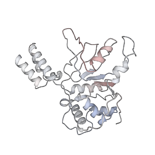 22454_7jsh_A_v1-2
Adeno-Associated Virus 2 Rep68 HD Heptamer-ssAAVS1 with ATPgS