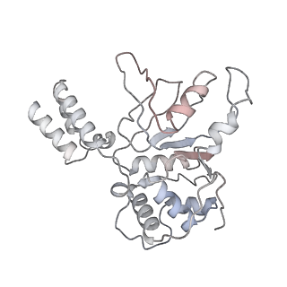 22454_7jsh_A_v1-3
Adeno-Associated Virus 2 Rep68 HD Heptamer-ssAAVS1 with ATPgS