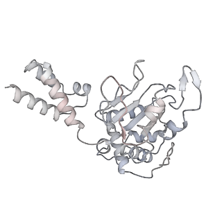 22454_7jsh_B_v1-2
Adeno-Associated Virus 2 Rep68 HD Heptamer-ssAAVS1 with ATPgS