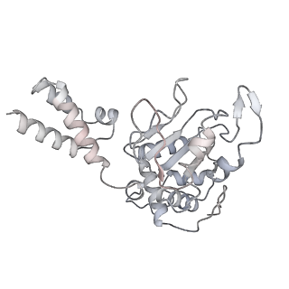 22454_7jsh_B_v1-3
Adeno-Associated Virus 2 Rep68 HD Heptamer-ssAAVS1 with ATPgS