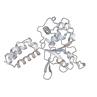22454_7jsh_D_v1-2
Adeno-Associated Virus 2 Rep68 HD Heptamer-ssAAVS1 with ATPgS