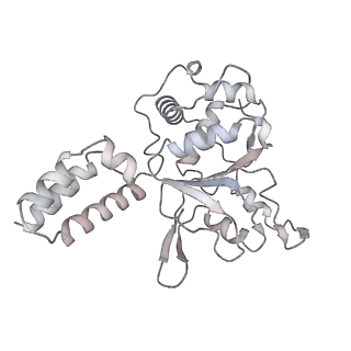 22454_7jsh_D_v1-3
Adeno-Associated Virus 2 Rep68 HD Heptamer-ssAAVS1 with ATPgS