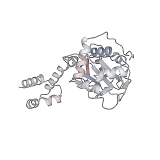 22454_7jsh_F_v1-2
Adeno-Associated Virus 2 Rep68 HD Heptamer-ssAAVS1 with ATPgS