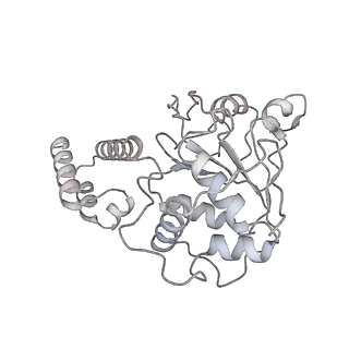 22454_7jsh_G_v1-2
Adeno-Associated Virus 2 Rep68 HD Heptamer-ssAAVS1 with ATPgS