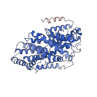 22456_7jsj_B_v1-2
Structure of the NaCT-PF2 complex